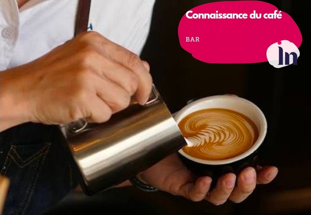 Connaissance du café